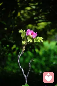 第一次靠写作赚到稿费，钱不多，却比任何奖励都让人开心。这是文字给我的回应，是坚持创作的小小勋章。未来继续笔耕不辍，用心写好每一个故事，愿创作之路越走越顺，笔下有光，收益多多，不负热爱，不负时光。