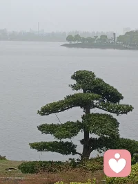 中国第一河口，曹娥江大闸