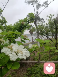 中国第一河口，曹娥江大闸