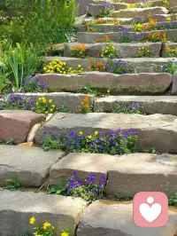 早安。
石阶上的花，开得热热闹闹。
原来生活的美好，就藏在这一步步的温柔里。
曲径通幽，总有惊喜。