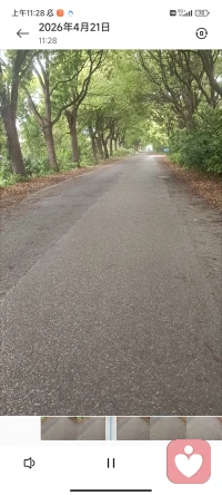 在无人的林荫里，
和自己的节奏，撞个满怀。