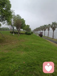 人生这一生，总得静下心来学会一样乐器。
打退堂鼓不算乐器，就是人与生俱来的本能。
吹口哨随性练了四十年，也能吹出动人的旋律，终究只是消遣。
偶然追完《我的26岁女房东》，忽然幡然醒悟：
不如就从此刻开始，拾起吉他，不负时光，学着热爱生活，给平凡日子添一份温柔旋律。配图