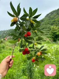 偷的人生半日闲