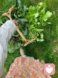 偷的人生半日闲