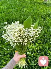 偷的人生半日闲