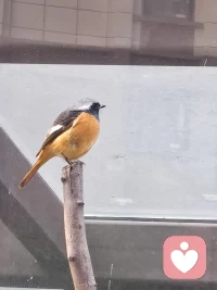 脆弱时，一句话就泪流满面。坚强时，咬着牙也走了很远。这两种都是你，都值得被自己稳稳接住。
别帮着外人欺负自己。别把刀，递出去再背过身去。你是自己最老的战友，从出生就并肩，到离去才收队。如果连你都叛逃，这人间就真的只剩孤军奋战。配图