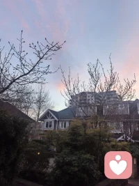 深夜
倾听仍在配图