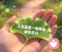 不攀附，

不将就，

做自己的太阳，

无需凭借谁的光。配图