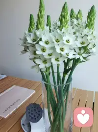 你把良心喂了狗
​你还觉得挺委屈
但​狗，更委屈
​她虽然吃了你的良心
​但她觉得没有屎好吃
​所以拿良心喂狗这事，以后少干配图