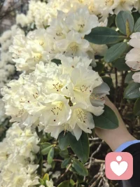 毛主席思想：在对的方向，坚持长期主义，藐视一切暂时的困难，人生没有过不去的坎和战胜不了的困难，要像建设新中国一样建设自己!配图
