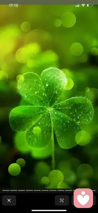 抬眼望去，满眼都是鲜活的绿🍀
四叶草在风里轻轻舒展，
像把细碎的阳光都揉进了叶片里。
澄澈的蓝天漫过头顶，
云絮慢悠悠地飘着，
连呼吸都变得清透起来。
这一刻，所有的喧嚣都被滤去，
只剩下心底的柔软与安宁。配图