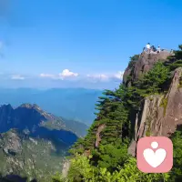 抬眼望去，满眼都是鲜活的绿🍀
四叶草在风里轻轻舒展，
像把细碎的阳光都揉进了叶片里。
澄澈的蓝天漫过头顶，
云絮慢悠悠地飘着，
连呼吸都变得清透起来。
这一刻，所有的喧嚣都被滤去，
只剩下心底的柔软与安宁。配图