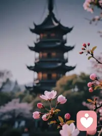 岁月温柔，眉眼从容。
不慌不忙，不卑不亢。
把日子过清浅，把心放宽，
有风听风，有雨看雨。
生活本是寻常，
心安即是归处。
愿你眉眼舒展，
一生温柔，一生向阳。配图