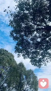 你不用硬撑，也不用懂事。
累了、委屈了、没人懂的时候，
我在这里，安静听你说。