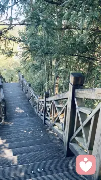 春风得意马蹄疾，日子缓缓自有序。
接纳因果，不慌不忙，
该来的惊喜，都在马到成功的路上等你。配图