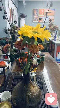 心情放晴，世界也跟着明亮。风有了温度，云也变得柔软。不必追赶美好，因为美好已在眼前。珍惜当下，笑对人生，万事皆欢喜。配图