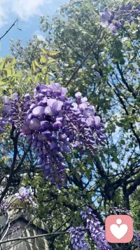 惊闻雪峰老师骤然离世，满心惋惜与心痛。生命如此脆弱，愿他一路走好，安息长眠。也愿我们都懂得珍惜健康，好好爱自己。世事无常，且行且珍惜，愿生者平安。配图