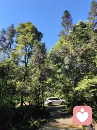 闻一闻花香
日子就芬芳

拍一拍风景
记忆便有光

忙碌是常态
但温柔须你来主宰

煮一壶茶
折一枝月
抑或坐着发呆

凡是让心安稳的
都是对生活最好的回答