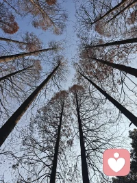 人生总会有想不明白的事情，不妨换个角度 或许就没那么纠结了配图