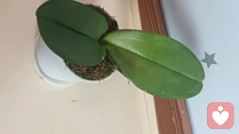 不做情绪的奴隶