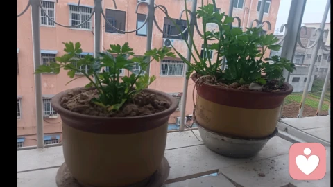 家庭矛盾是怎么升级的