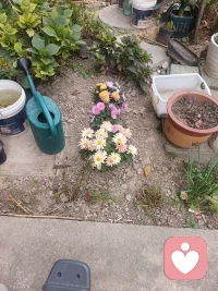 把心里的垃圾情绪倒出来，整个人都会轻松很多
当下觉得熬不住的时刻，我随时都在！配图