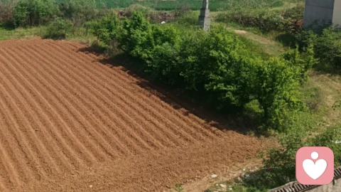 接纳自己的不完美