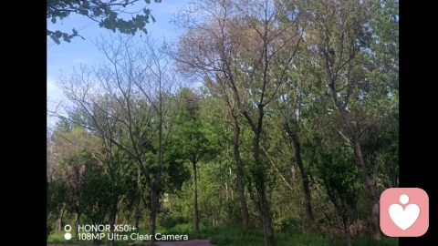 孩子进入青春期性冲动是正常的，但家长千万不要越界介入