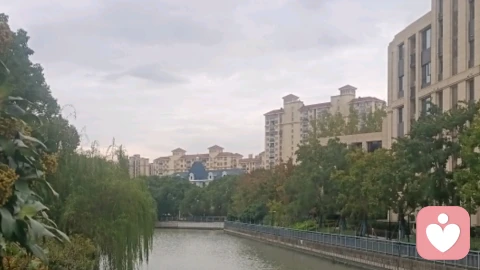 情与爱，贯穿一生