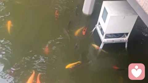 婆媳关系不和谐如何处理？