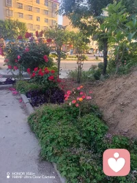 做你最安心的情绪港湾
专注私人情感倾听
共情陪伴，暖心疏导
守住你的秘密，治愈你的心情
愿有人听懂你的所有心酸