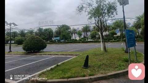 单亲家庭里混淆的孝顺与爱情