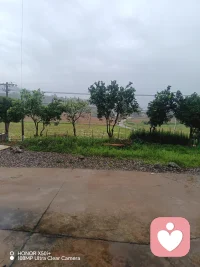 如果你刚好刷到这里，
或许可以把我当成一个树洞。
我是你的倾听师，不评判、不打断、不泄露。
你可以哭，可以沉默，可以语无伦次，
我会安安静静陪着你，
听你说那些连自己都理不清的情绪。配图