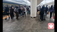 青春期最狠心的爱:忍住心疼，适当放手