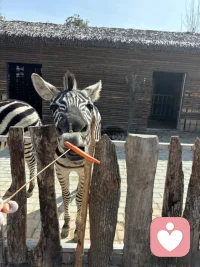  停止内耗，情绪解压，全程保密、耐心倾听配图