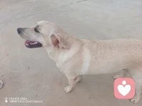 心里有心事，压的喘不过气来，晚上躺在床上辗转难侧，找不到可以倾诉的人，我在这里等你，做你情绪的树洞！