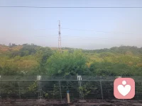 心里有难以启齿的心事，找不到可以诉说的人。温柔可亲的心语倾听师在这里等你，亲子，婚恋，情感方面欢迎随时打扰！