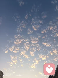 需要倾诉的朋友请看我头像旁的标注，来到平台接单我是有底线的，需要配合的请不要骚扰我！