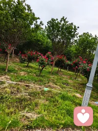 心事很重常压心底，情绪不稳定，长此以往会影响身心健康与工作效率。也许你只需要找个人倾诉一下，线下找不到合适的人，可以来这里，我愿意做你倾诉的树洞！