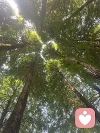 世界很美，我们要拥抱美好，拥抱未来，期待您的来电倾听☺️☺️☺️