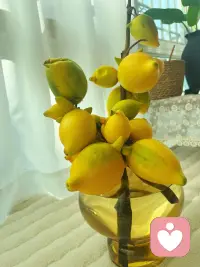 我不劝你坚强，我只负责听你说……