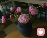 我不劝你坚强，我只负责听你说……