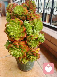 “我想 生活应该是一首慢歌.”
：人生是可以慢半拍 再慢半拍的
或许 不必每时每刻都要冲刺
累了就按下暂停键
慢下来 世界才会真正开始
而你的BGM 不必为任何人快进配图