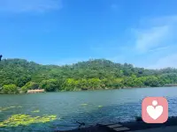人生没有白走的路，每一步低谷，都是为了遇见更高处的光。
愿你在阴天里，也能种下属于自己的阳光。配图