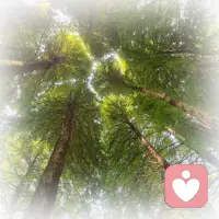 心理健康并不意味着永远开心、没有烦恼。每个人都会有焦虑、生气或难过的时候，允许情绪存在，反而比强行压抑更健康。可以试着告诉自己：“我现在有点累，这很正常，我会好好照顾自己。”配图