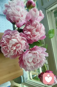 亲爱的：别急、别灰心，总有人会带着温柔与真诚，穿越山海来到你身边，拥抱你的伤痕，治愈你的苦难，告诉你：你值得被爱，值得世间所有美好。