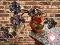 那座山很高，远远望去，山脊像一道道皱起的眉头，透着几分胆怯，仿佛在说：“别过来，你走不过去的。”

可是你爬过去了。手脚并用，气喘吁吁，汗水模糊了视线。爬到半山腰时回头一看——来时的路已经淹没在云里。

当你站在山顶，风把衣衫吹得猎猎作响，才发现：山还是那座山，但你已经不是出发时的你了。

原来最难的，从来不是山有多高，而是迈出第一步之前，心里的那个“怕”字。