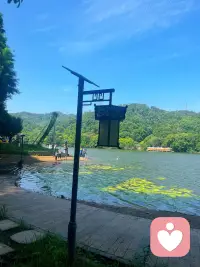 放慢脚步，和生活和解。
风吹日常，日子温柔，
在琐碎烟火里，打捞属于自己的小美好。配图