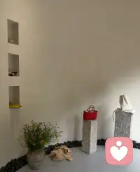 万物皆有裂痕，那是光照进来的地方。配图