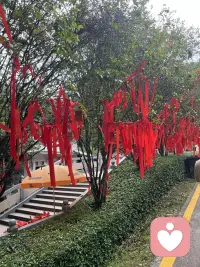 爱情里，到底选爱你的人，还是你爱的人？
选爱你的，你不甘心没有心动；
选你爱的，你受尽委屈满身疲惫。
我们都渴望被坚定选择，被好好偏爱。
可现实大多是，爱而不得，得而不爱。
到底是将就合适，还是坚守真心？
这道爱情选择题，是不是困住了无数成年人？配图